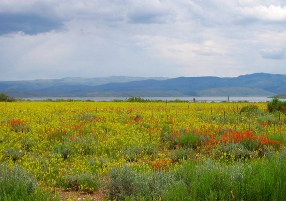Spring in Utah